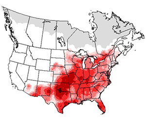 Summer range of the eastern meadowlark