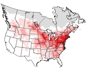 Summer range of the gray catbird