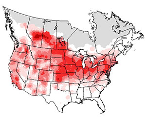 Summer range of the house wren