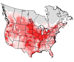 Summer range of the killdeer bird