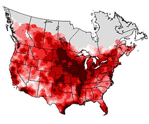 Summer range of the red-winged blackbird