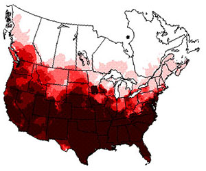 Winter range of the red-winged blackbird