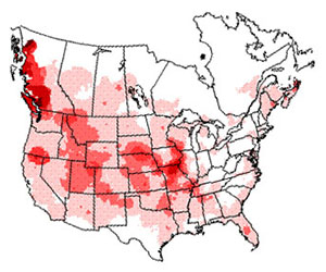 Winter range of the bald eagle