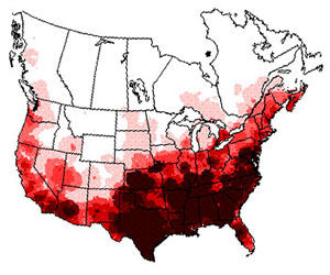 Winter range of the brown-headed cowbird