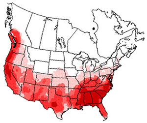 Winter range of the eastern towhee bird