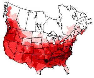 Winter range of the song sparrow