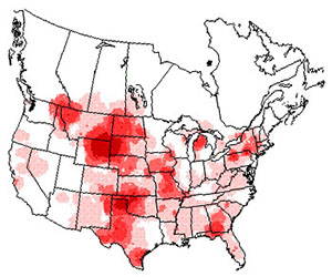 Winter range of the wild turkey