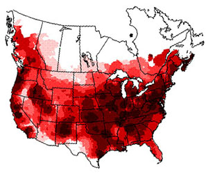 Winter range of the american crow