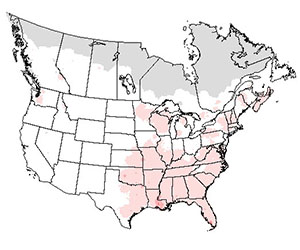 Summer range of the barred owl