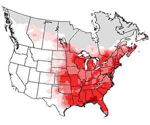 Summer range of the blue jay