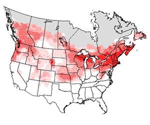 Summer range of the Carolina chickadee