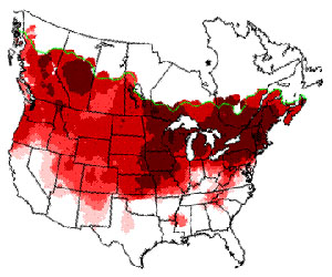 Winter range of the Carolina chickadee