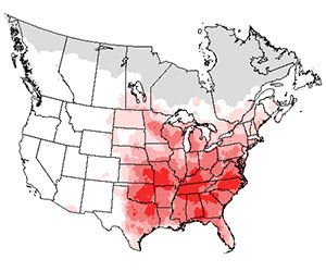 Summer range of the eastern bluebird