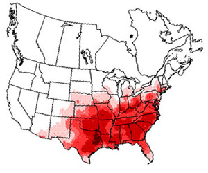 Winter range of the eastern bluebird