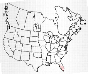 Summer range of the great crested flycatcher