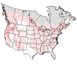 Summer range of the hairy woodpecker