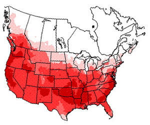 Winter range of the northern flicker