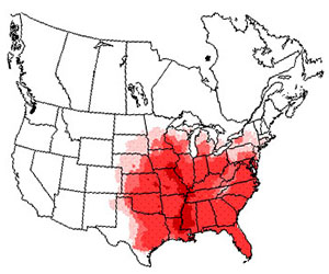 Winter range of the red-bellied woodpecker