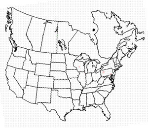 Winter range of the rose-breasted grosbeak