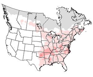 Summer range of the ruby-throated hummingbird