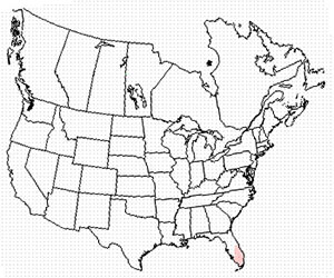 Winter range of the ruby-throated hummingbird