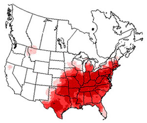 Winter range of the tufted titmouse