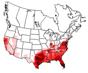 Winter range of the turkey vulture