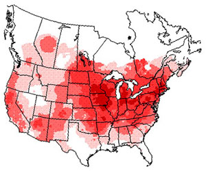 Winter range of the white-breasted nuthatch