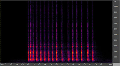 Vocalization of the yellow-bellied sapsucker