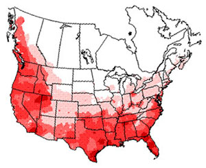 Winter range of the great blue heron