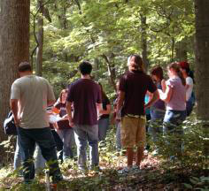 People in a forest