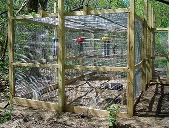 Aviary with birds