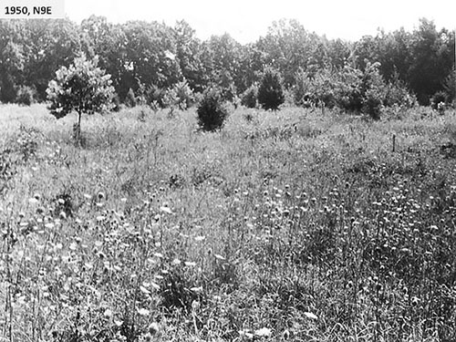 Point N9 in 1950